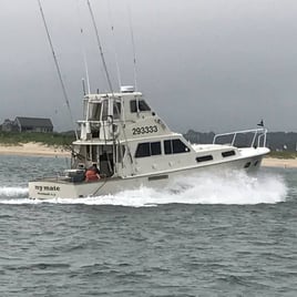 Montauk Point Sportfishing