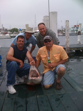 My Mate Sportfishing