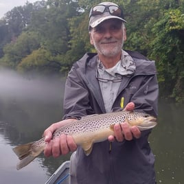 Streamer Fishing for Brown Trout