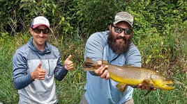 Streamer Fishing for Brown Trout