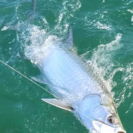 Big Game Tarpon Trip