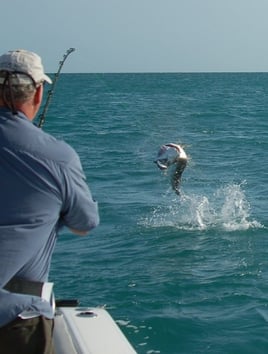 Tarpon Trip