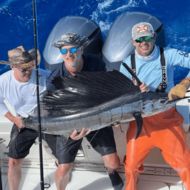 Sailfish Special