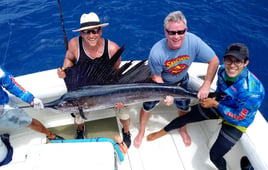 Bountiful Waters of Isla Mujeres