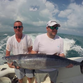 Bountiful Waters of Isla Mujeres