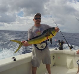 Bountiful Waters of Isla Mujeres