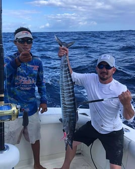 Bountiful Waters of Isla Mujeres