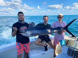 Bountiful Waters of Isla Mujeres