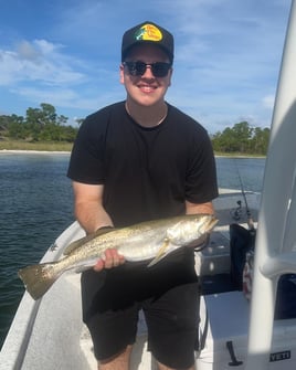 Redfish, Trout, and More!