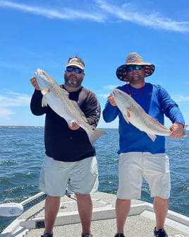 Redfish, Trout, and More!