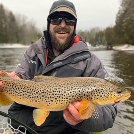 Michigan Streamer Trout Trip