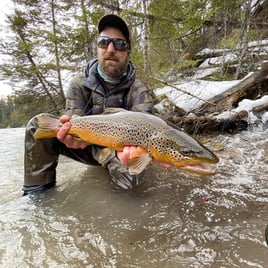 Michigan Streamer Trout Trip