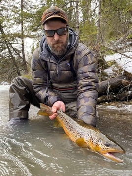 Michigan Streamer Trout Trip