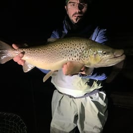 Premier Nighttime Trout Trip