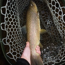 Premier Nighttime Trout Trip