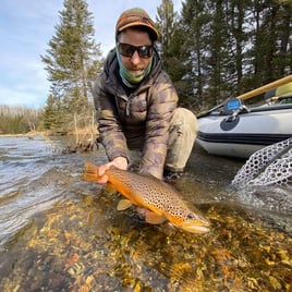 Michigan Streamer Trout Trip