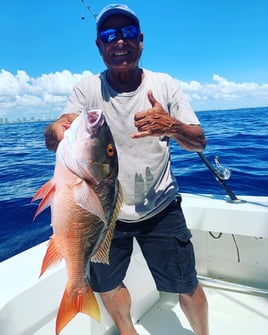 Madeira Beach Offshore - 38' Boston Whaler