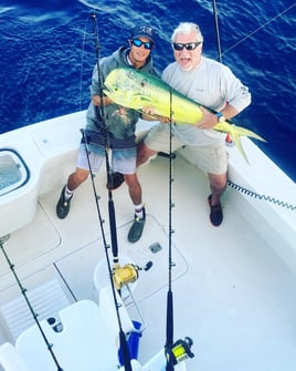 Madeira Beach Offshore - 38' Boston Whaler