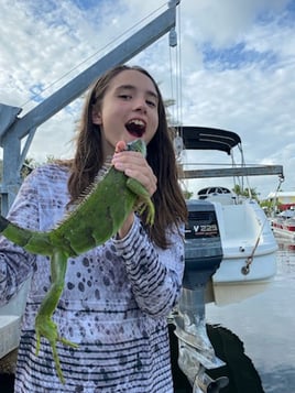 Iguana Fishing in Cape Coral, Florida