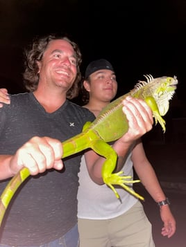 Iguana Fishing in Cape Coral, Florida