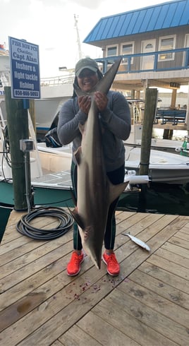 4hr Shark fishing