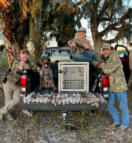 Austin, TX Quail Hunting