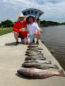 Galveston Game Fish Roundup