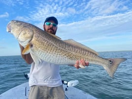 Redfish Fishing in Corpus Christi, Texas