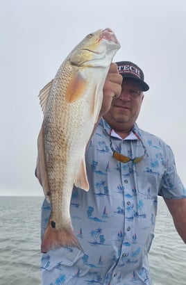 Redfish Fishing in Corpus Christi, Texas