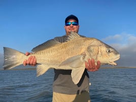 Black Drum Fishing in Corpus Christi, Texas