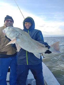 Black Drum Fishing in Corpus Christi, Texas