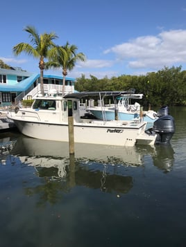 Red Grouper (8 - 10 hour)