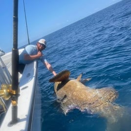 3 Hour Afternoon Shark Fishing-24' Pair Custom