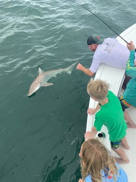 3 Hour Afternoon Shark Fishing-24' Pair Custom