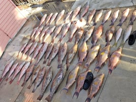 Key Largo Reef Trip