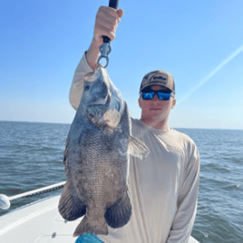 Tripletail Fishing in Eastpoint, Florida