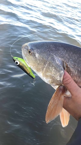 Rockport Tx Wade Fishing