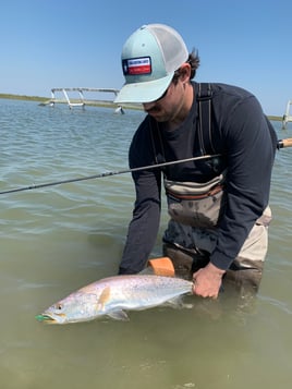 Rockport Tx Wade Fishing