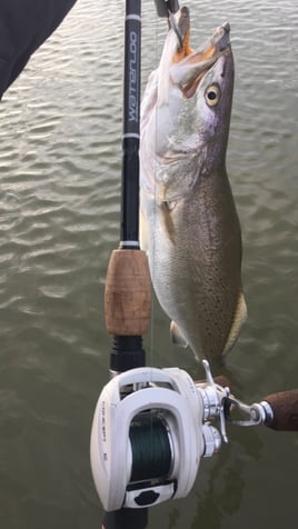 Rockport Tx Wade Fishing