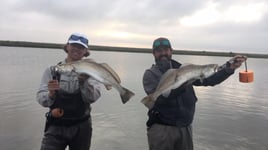 Rockport Tx Half Day Wade Fishing W/ Artificial