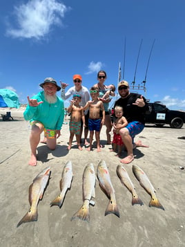 Evening Surf Fishing For Sharks