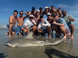 Evening Surf Fishing For Sharks