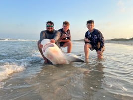 Evening Surf Fishing For Sharks