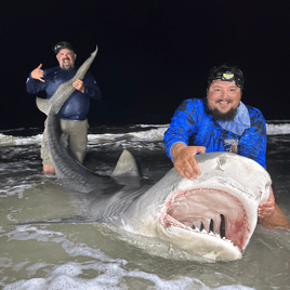 Evening Surf Fishing For Sharks