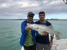 Tarpon and Snook Fishing