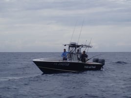 Miami Beach Swordfish Run