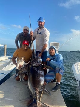 Miami Beach Swordfish Run