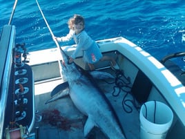 Miami Beach Swordfish Run