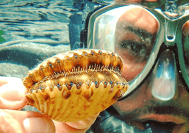 Scalloping in Apalachee Bay, FL (6 hrs)