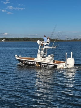 Scalloping in Apalachee Bay